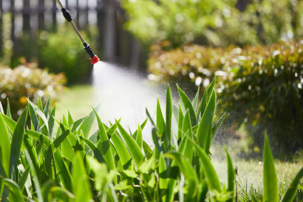 24/7 Emergency Mosquito Control experts in Walnut Hill, TN